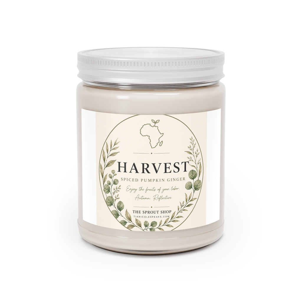 HARVEST | Spiced Pumpkin Ginger Soy Candle